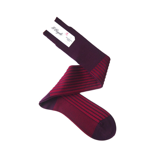 ストライプジャガードロングホーズ - 靴下 BURGUNDY / 25-27cm Il Regalo/イルレガロ | HIGH QUALITY SOCKS