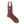 オンブレストライプソックス - 靴下 MOCHA / 25-27cm Il Regalo/イルレガロ | HIGH QUALITY SOCKS