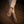 シャドーペイズリーソックス - 靴下  Il Regalo/イルレガロ | HIGH QUALITY SOCKS