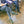 Load image into Gallery viewer, Paisley Silk Socks
